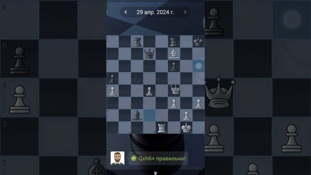 26. Chess quests #shorts