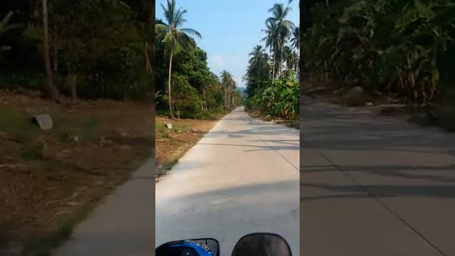 Extreme bike driving in the jungle of Thailand)))