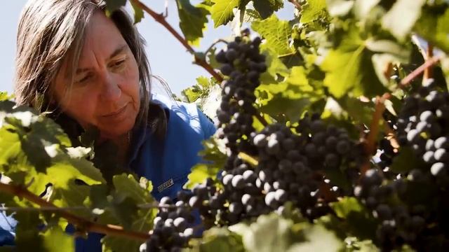 Yalumba: Steeple Vineyard Barossa Shiraz with Jane Ferrari