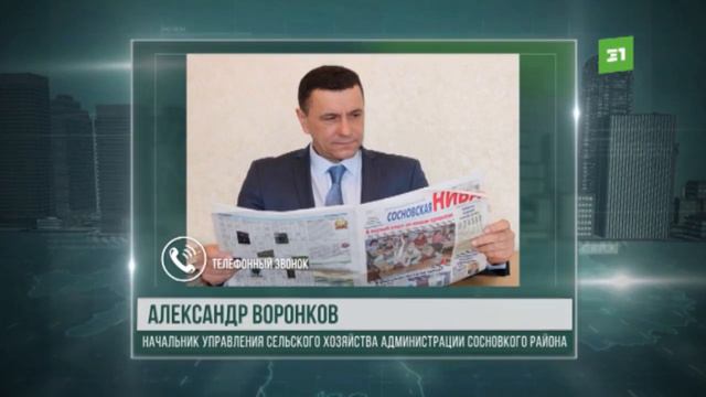 Собаки держат в страхе село под Челябинском