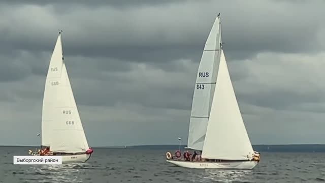 В Выборгском районе проходит чемпионат России по гонке на яхтах