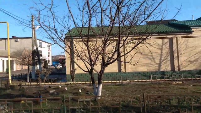 Место в Грозном где рыба 🐟🐠 по оптовым ценам 📢. #рыба #опт опт