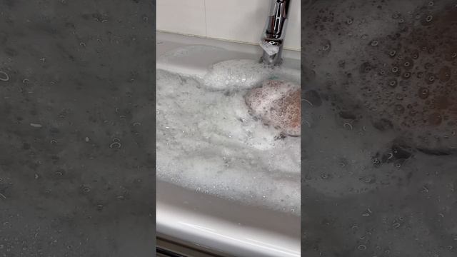 АСМР|CLEANING | НОВОЕ СРЕДСТВО ДЛЯ ПОЛА |БОЛЬШЕ НОВЫХ ВИДЕО ВЫ НАЙДЕТЕ В ТЕЛЕГРАМ @Katusha_ASMR