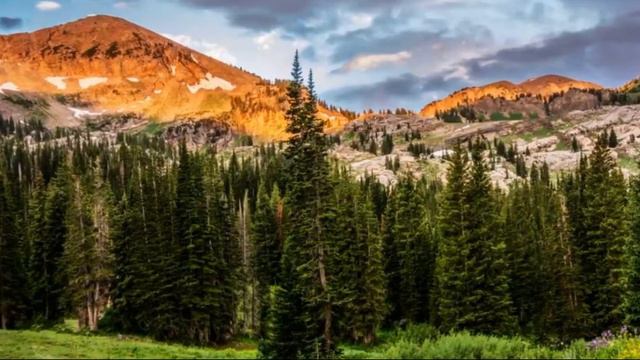 ДУДУК И СКРИПКА! Мелодия для души! Приятного просмотра! 2020