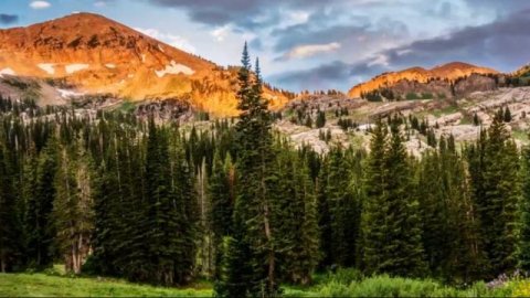 ДУДУК И СКРИПКА! Мелодия для души! Приятного просмотра! 2020