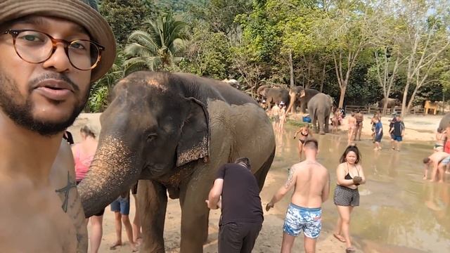The Green Elephant Sanctuary Park