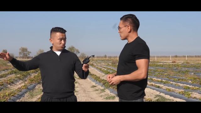 Жылына 5 рет өнім алатын Туркиядан келген Технология. Инвестор керек! Құлпынай өсіру технологиясы.