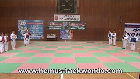 Демонстрация на корейски бойни изкуства