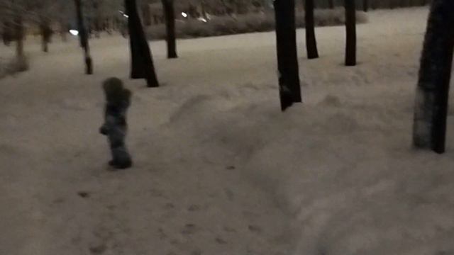 Новый скейт-парк СПб! Катаюсь на скейте по сугробам! ЗИМНИЕ ПОКАТУШКИ в скейтпарке! Скейтеры зимой.