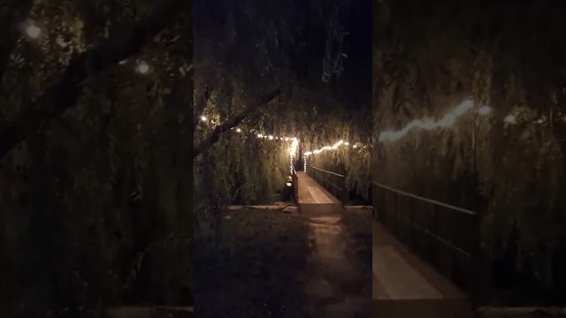 Гости с Красноярска