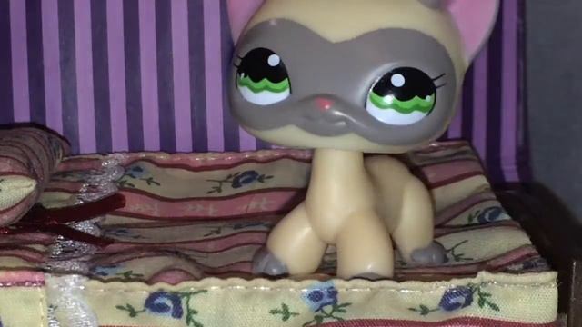 🦄Первый клип LPS