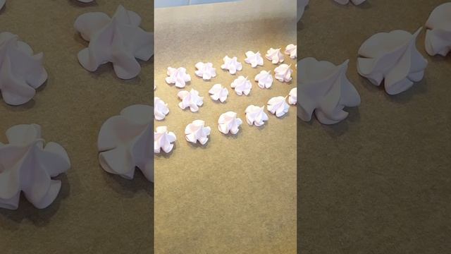 lv_0_20230310205344.mp4