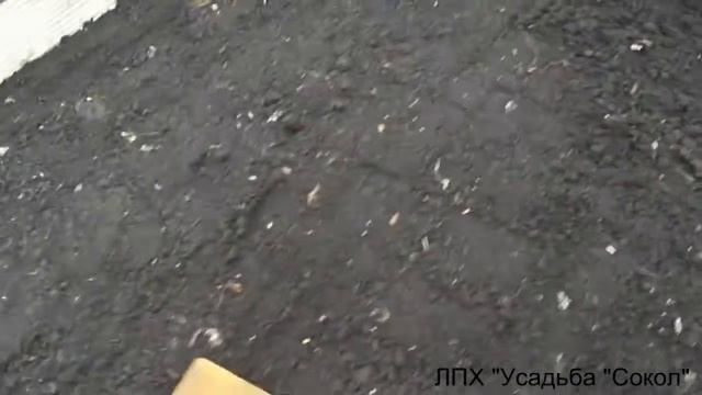 Как начинается посевная пора в Сибири - посевы в теплице