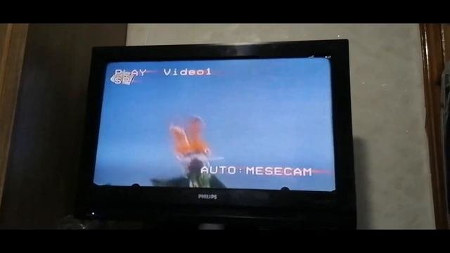 Обзор видеомагнитофона DAEWOO EST110WN