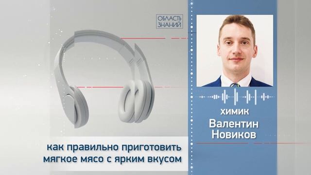 Как правильно приготовить мягкое мясо с ярким вкусом. Лекция химика Валентина Новикова