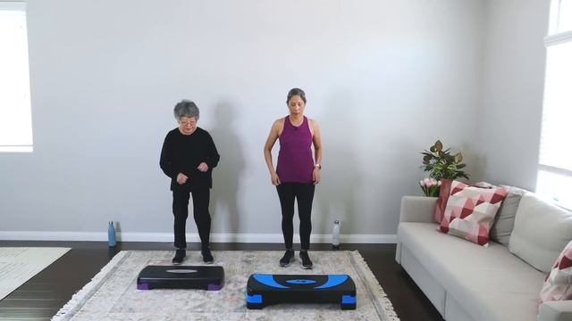 30 minute Easy Basic Step Aerobics for Beginners, Seniors