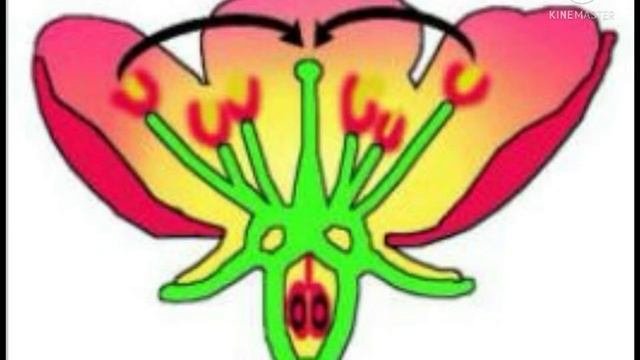 Пәні: биология. 7-класс. Пән мұғалімі: Даулеткалиева М.К.