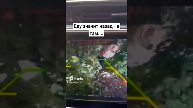 Еду Такой Значит Назад - А Там....