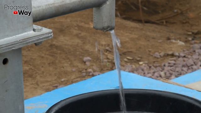 Полейте Клубнику Этим В Сентябре И Она Всегда Будет Бурно Плодоносить Крупной Ягодой Каждый Год
