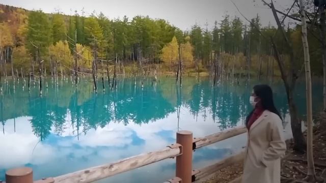 Если бы Это не Сняли на Камеру, Никто бы не Поверил