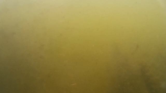 В Мигее под водой возле заброшенной электростанции