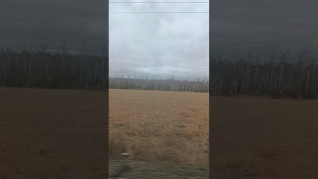 Вахта/Работа