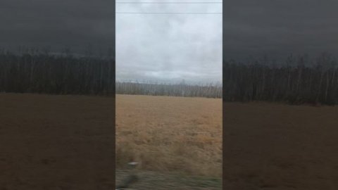 Вахта/Работа