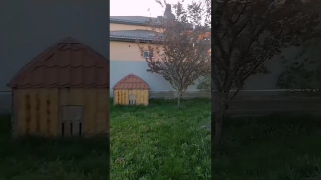 сад на даче новороссийск краснодарского края весна 2024