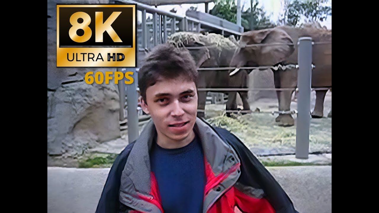 Me at the zoo (8К 60FPS UHD)