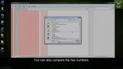 Beyond Compare - Compare and synchronize your files and directories - Download Video Previews