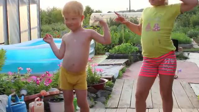 дача 2019