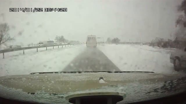 Осторожно! Зимние олени!