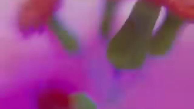 GIV~a Ho'oponopono Prayer