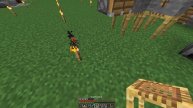 Minecraft Easy XP Farm - Mob Free + Extra Bone Meal - 1.15/1.14