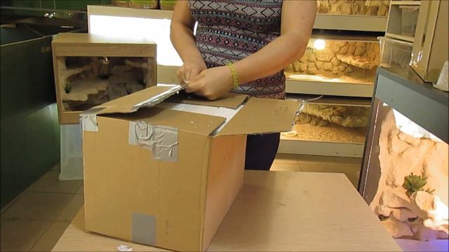 Unboxing - Gekon Lamparci - Dwie Siostrzyczki ;)