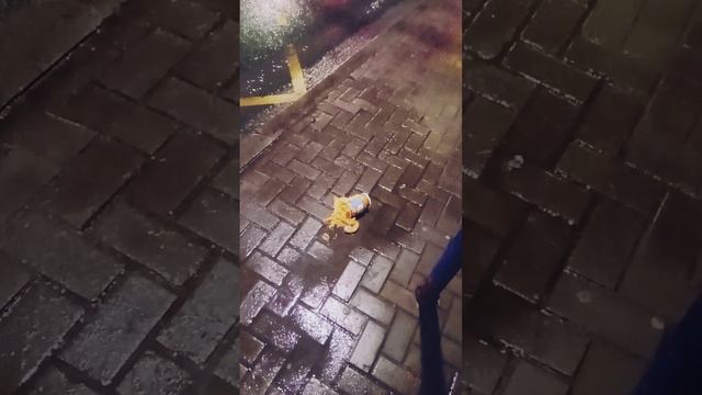 Икра заморская, баклажанная... #омск
