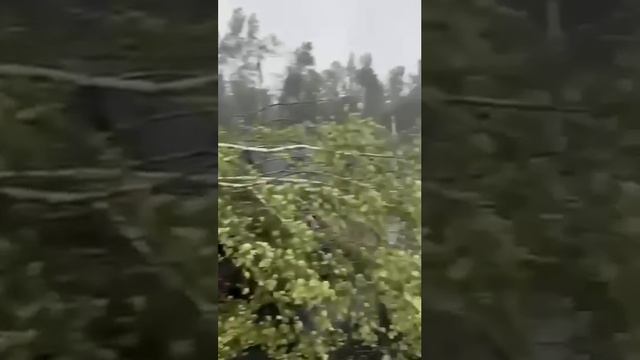 Последствие урагана в Московской области