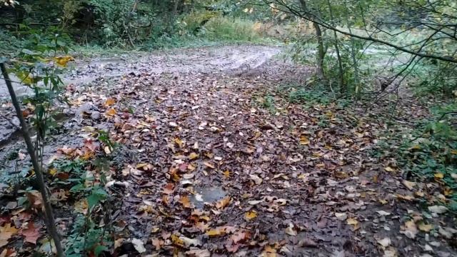 ПВД по северу Подмосковья | ГРЯЗЬ | БРОД | СОБАКИ