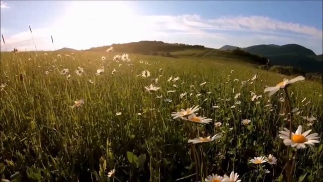 Видео перед сном.Настройка на отдых с  непревзойденной музыкой для релакса.
