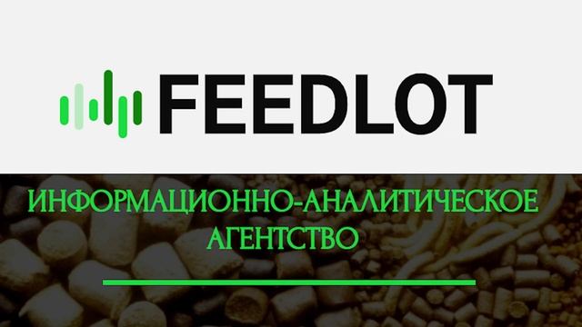 Лабиринт мониторинга цен: Что произошло за 46 неделю 2023 г
