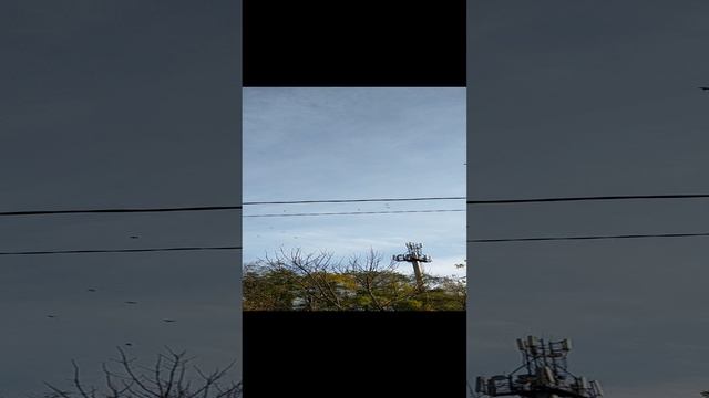 VID20231118152337.mp4