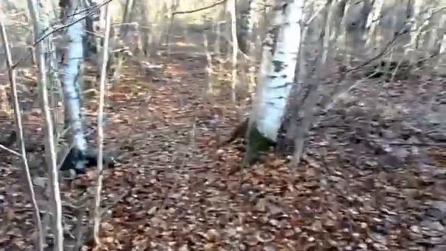Дорога в никуда