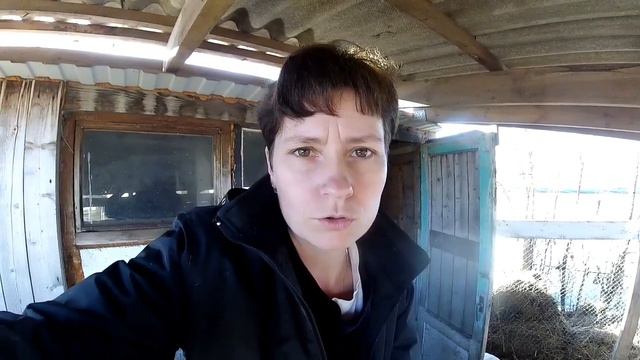 .Хозяйство/Отвезла козлика/Стройка/парк Горького/моя пицца😁/прощание с озером/поздравления!!!