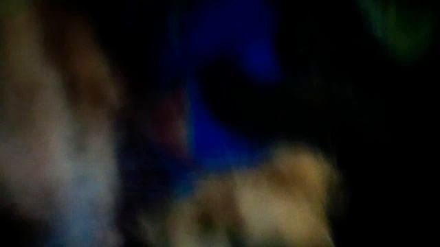 Котятам уже 1 месЯц