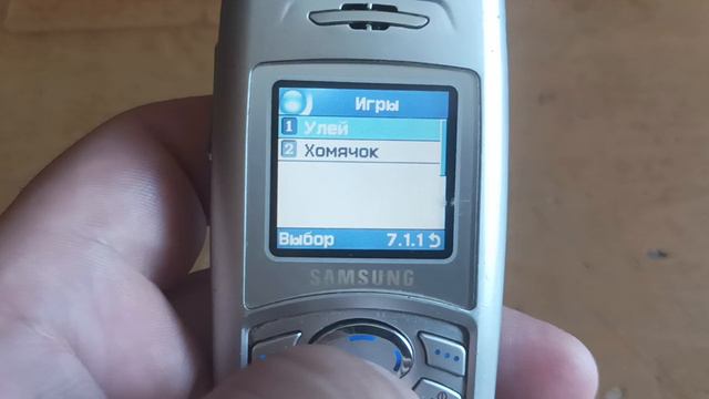 Обзор про SAMSUNG SGH-C100