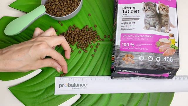 Корм для котят PROBALANCE "1`ST DIET KITTEN"