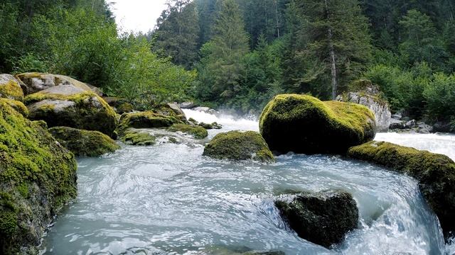 Водопад в лесу | Расслабление