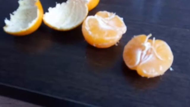 Всеядный котяра Мурзик