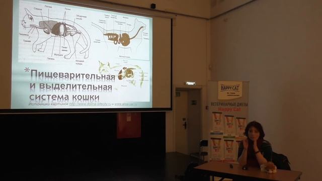 1.04.2018 Галина Чиликина- "Анатомия и физиология кошек" Демо