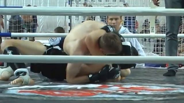 Открытый общероссийский турнир по смешанным единоборствам